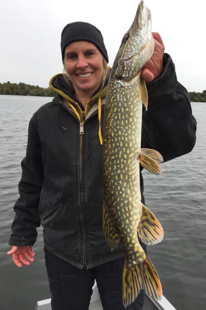Curriers Lakeview Lodge Rice Lake Eksteriør bilde